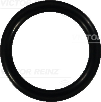 VICTOR REINZ Dichtring 407605900