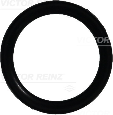 VICTOR REINZ Dichtring 407606400