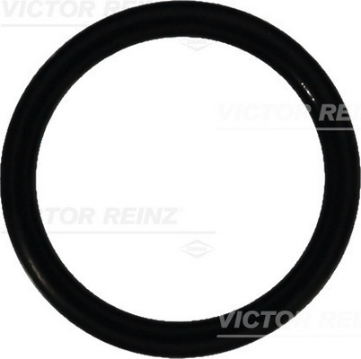 VICTOR REINZ Dichtring 407607000