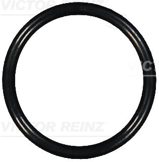VICTOR REINZ Dichtring 407607400