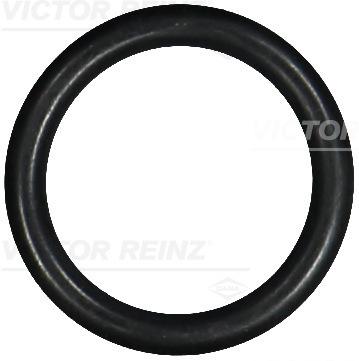 VICTOR REINZ Dichtring 407608100