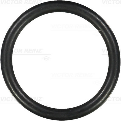 VICTOR REINZ Dichtring 407609800