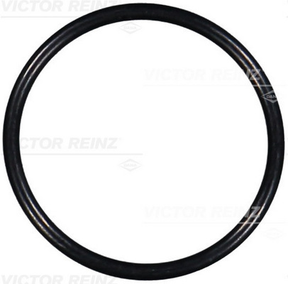 VICTOR REINZ Dichtring 407611700