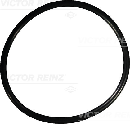 VICTOR REINZ Dichtring 407612100