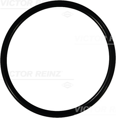 VICTOR REINZ Dichtring 407612500