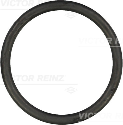 VICTOR REINZ Dichtring 407612800