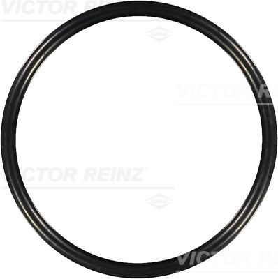 VICTOR REINZ Dichtring 407613100 für MAN