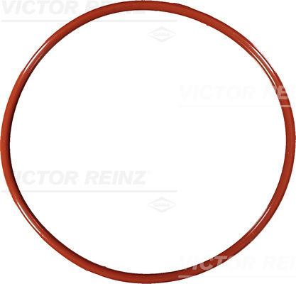 VICTOR REINZ Dichtring 407616710