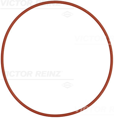 VICTOR REINZ Dichtring 407618210