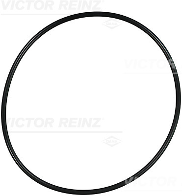 VICTOR REINZ Dichtring 407618300