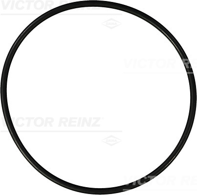 VICTOR REINZ Dichtring 407620300