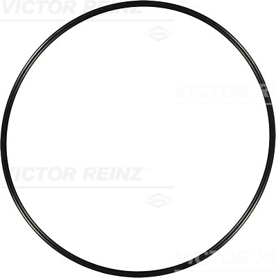 VICTOR REINZ Dichtring 407624800