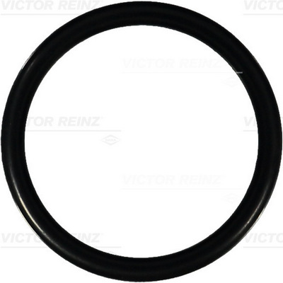 VICTOR REINZ Dichtring 407629500 für ALFA ROMEO Opel Mercedes