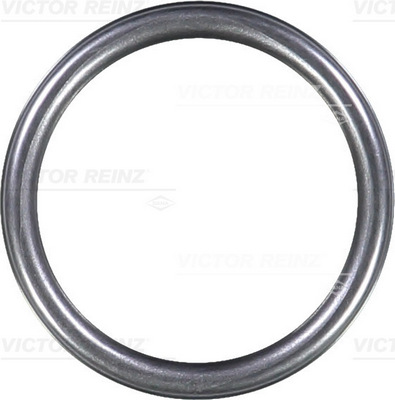VICTOR REINZ Dichtring 407631310 für Mercedes