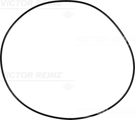 VICTOR REINZ Dichtring 407634900