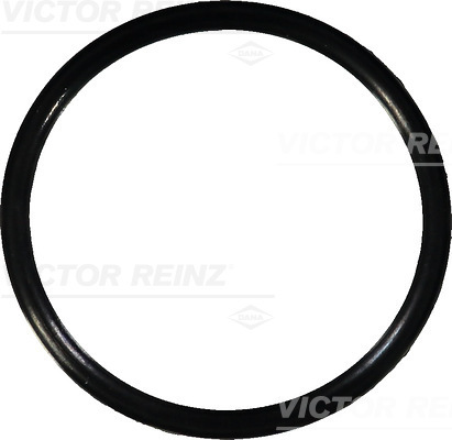 VICTOR REINZ Dichtring 407636700 für Porsche VAG