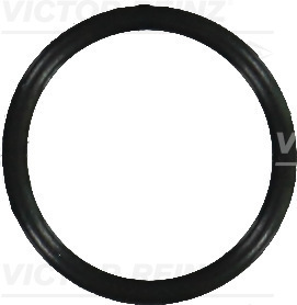 VICTOR REINZ Dichtring 407637010