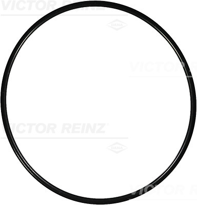 VICTOR REINZ Dichtring 407639000