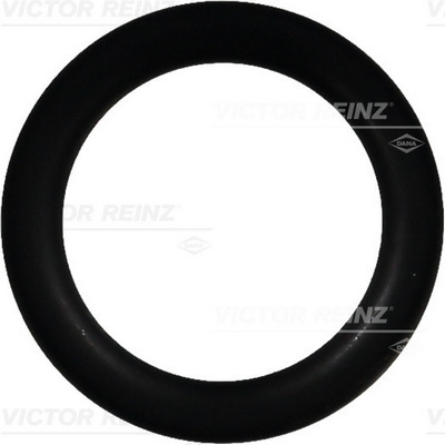 VICTOR REINZ Dichtring 407639100 für MAN Mercedes