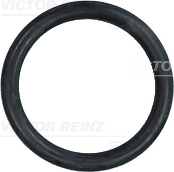 VICTOR REINZ Dichtring 407639400