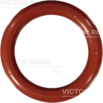 VICTOR REINZ Dichtring 407640410