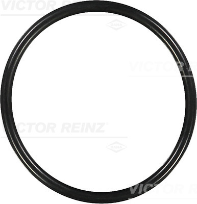 VICTOR REINZ Dichtring 407643900