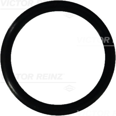 VICTOR REINZ Dichtring 407645800 für Porsche