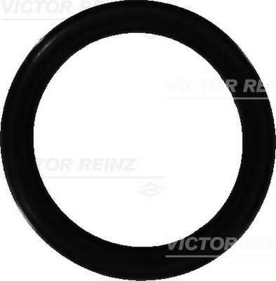 VICTOR REINZ Dichtring 407647300 für VAG