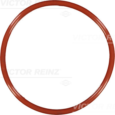 VICTOR REINZ Dichtring 407654100 für VAG