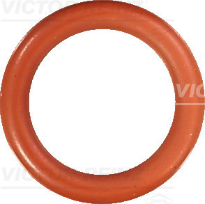 VICTOR REINZ Dichtring 407656600