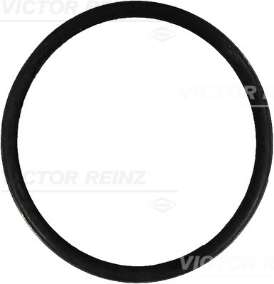 VICTOR REINZ Dichtring 407657100 für VAG