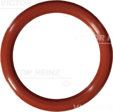 VICTOR REINZ Dichtring 407658900