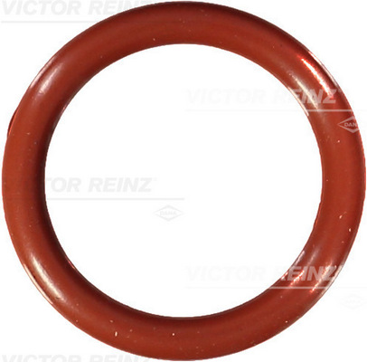 VICTOR REINZ Dichtring 407659100