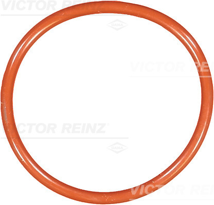 VICTOR REINZ Dichtring 407659200