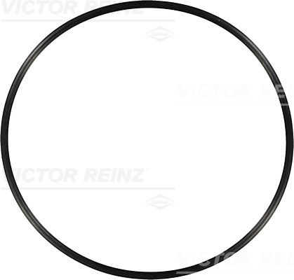 VICTOR REINZ Dichtring 407660300 für MAN Mercedes