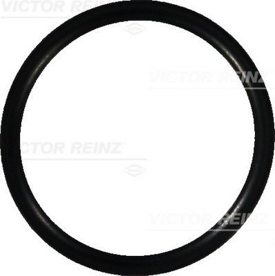 VICTOR REINZ Dichtring 407669000 für VAG