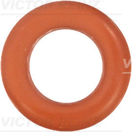 VICTOR REINZ Dichtring 407669100