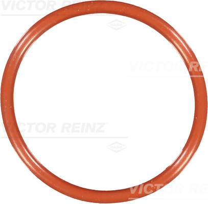 VICTOR REINZ Dichtring 407669200