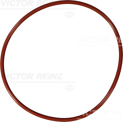 VICTOR REINZ Dichtring 407669500
