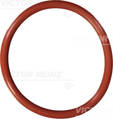 VICTOR REINZ Dichtring 407669900
