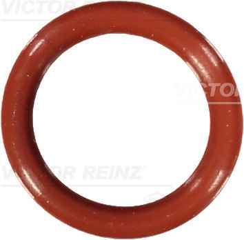 VICTOR REINZ Dichtring 407671500