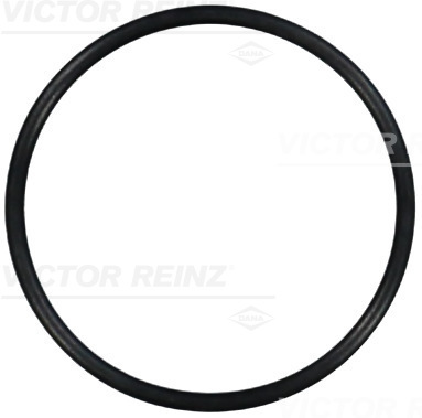 VICTOR REINZ Dichtring 407676300 für ALFA ROMEO