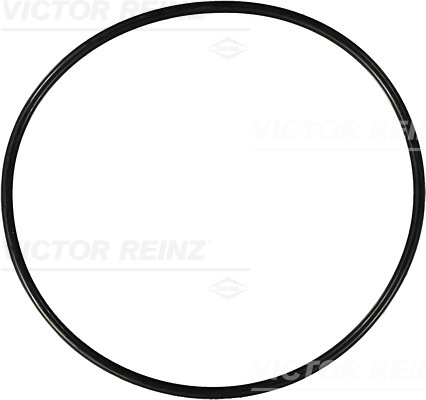 VICTOR REINZ Dichtring 407682200