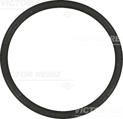 VICTOR REINZ Dichtung, Ansaugkrümmer 407685400 für VAG