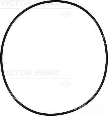 VICTOR REINZ Dichtring 407690500 für VAG