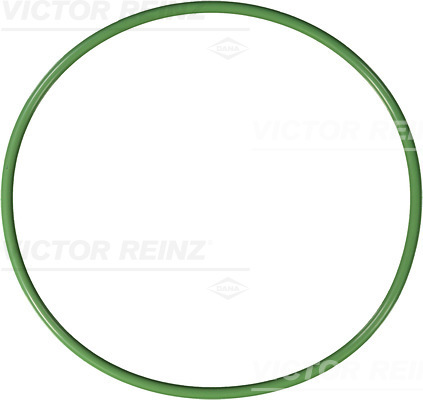 VICTOR REINZ Dichtring 407693600
