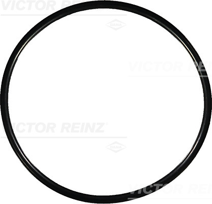 VICTOR REINZ Dichtring 407696400 für Opel
