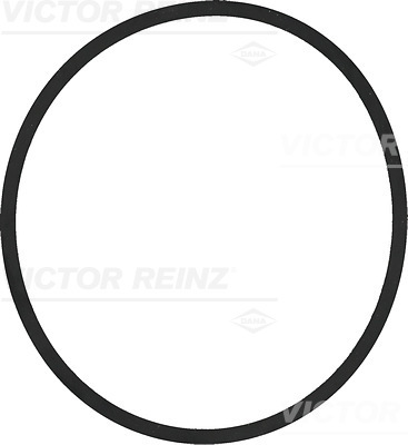 VICTOR REINZ Dichtring 407721100 für MAN Mercedes