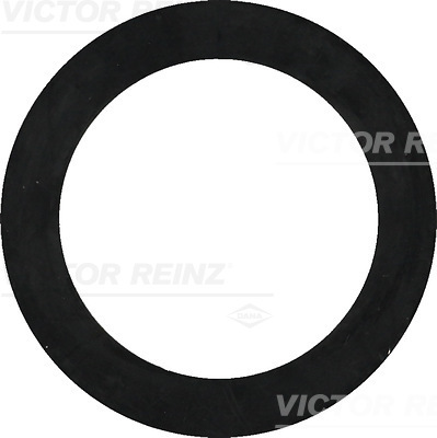 VICTOR REINZ Dichtring 407732200
