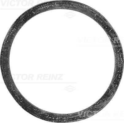 VICTOR REINZ Dichtring 407733900 für Fiat
